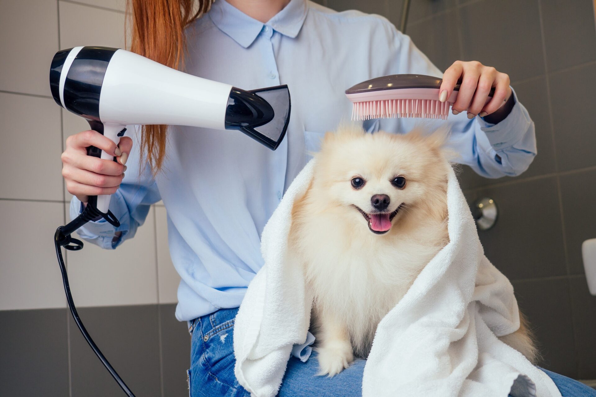 Fur Groomers shutterstock 1513781225 654019798865 scaled